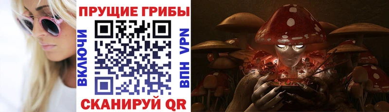 магазин продажи наркотиков  Харовск  Галлюциногенные грибы MAGIC MUSHROOMS 